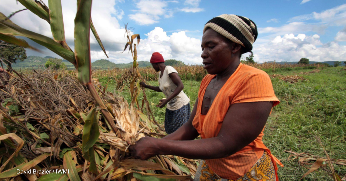 Small farmers say they're overlooked in climate talks