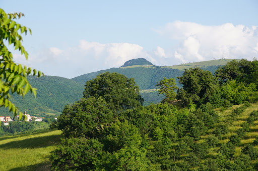 Gartenblick