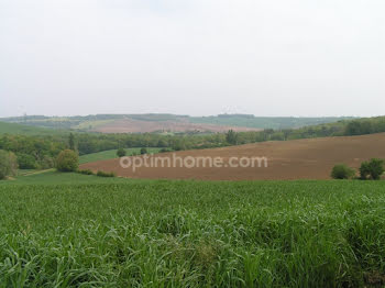 terrain à Lévignac (31)