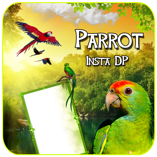 Comprar e instalar parrot