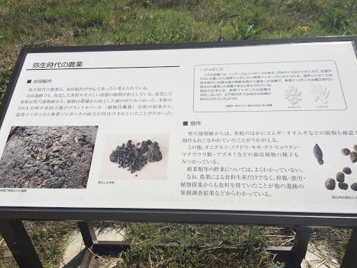 日高遺跡公園 弥生時代の農業