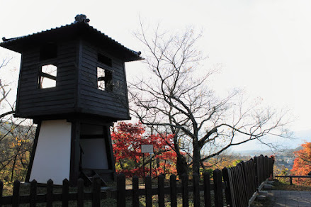 高遠城：春は桜、秋は紅葉が映える高遠城、２０１６年１１月７日 撮影