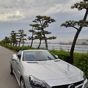 SLK R172