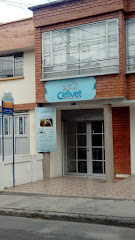 Cefivet