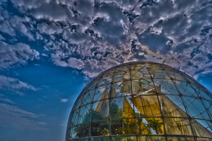 Acquario di lorecrw