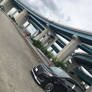 エスクァイア ZWR80G