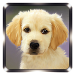 Dog Sounds Apk