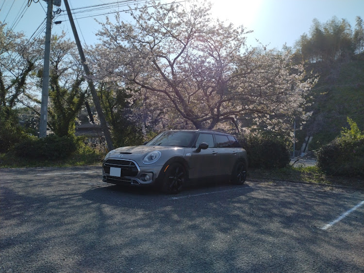 ミニ クラブマンのサクラと愛車・ドライブに関するカスタム事例の投稿画像1枚目