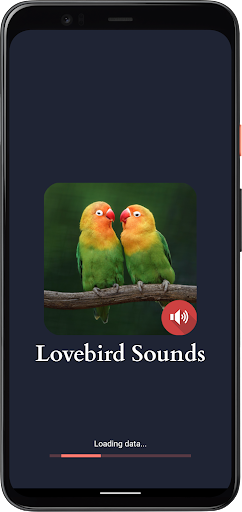 Screenshot Lovebird Sounds