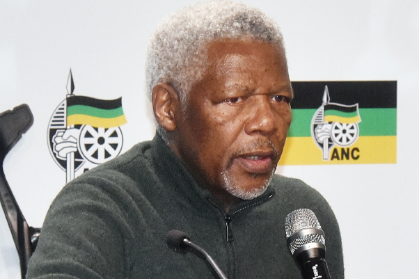 Former home affairs director-general Dr Mavuso Msimang will chair the immigration advisory board. File photo.