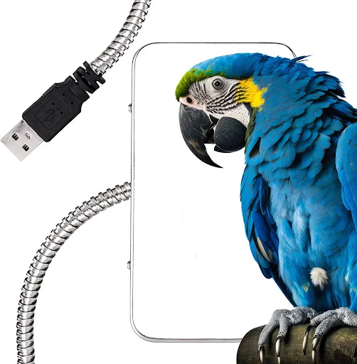 Birds Thermostat Lamp Bird Warmer Parrot Heater Bird Cage Accessories for Cages Parrots Heating Birdcage Supplies Access