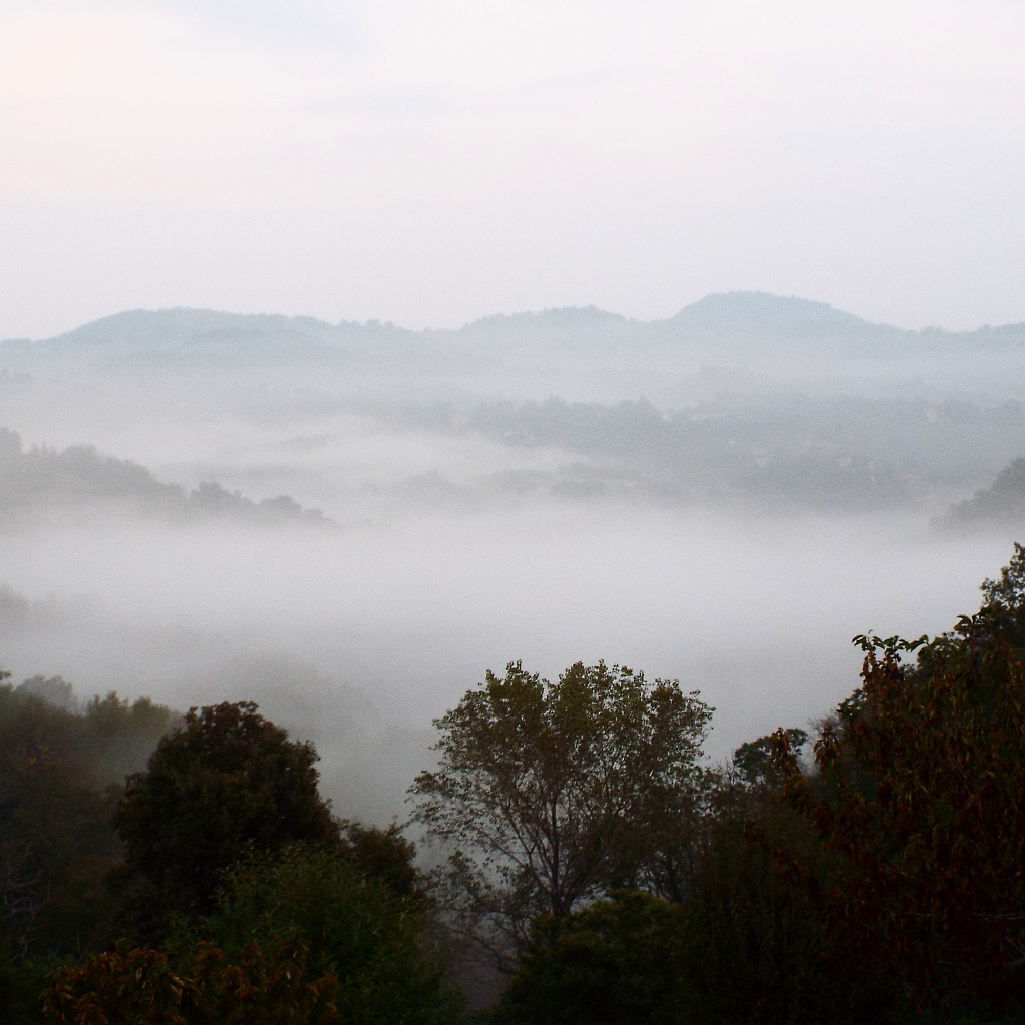 nebbia tra i colli di gpaolos