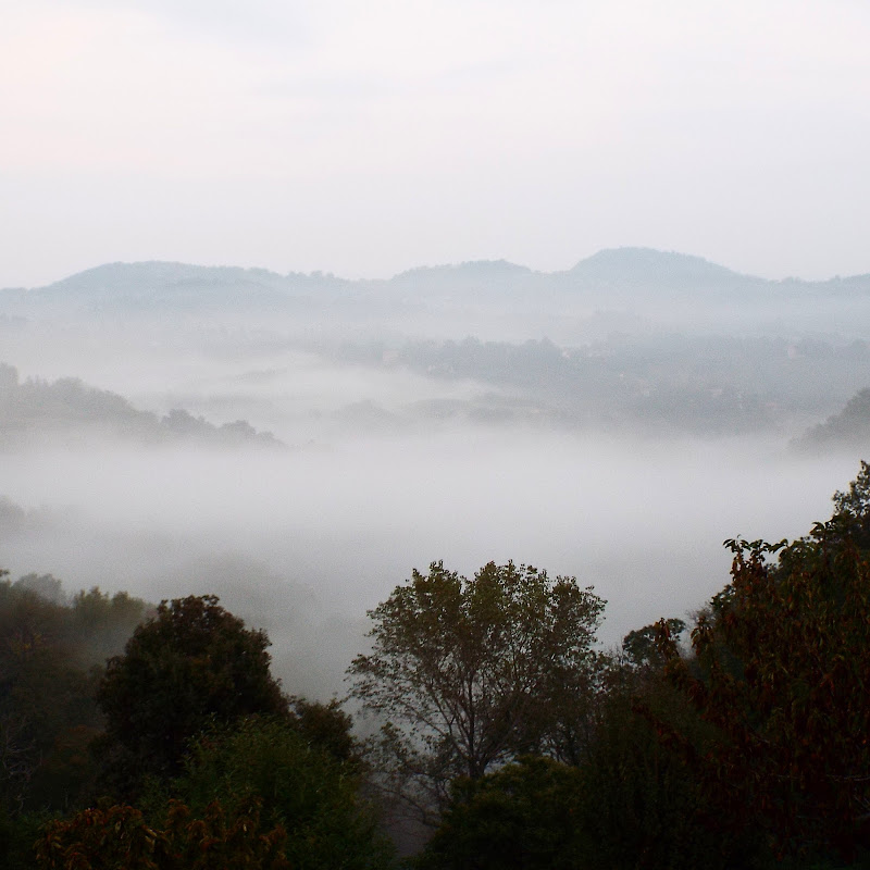 nebbia tra i colli di gpaolos