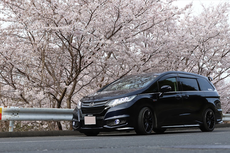 オデッセイの初めてカメ活を始めた場所・1年間で1万枚は撮った気がする・たかが写真されど写真だけど写真・まさか一年でフルサイズナナニッパになるとは😅・車イジリとカメラはいい趣味だと思ってますに関するカスタム事例の投稿画像10枚目