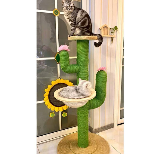 Title 11, Cactus Cat Climbing Frame Self-made DIY Complet...