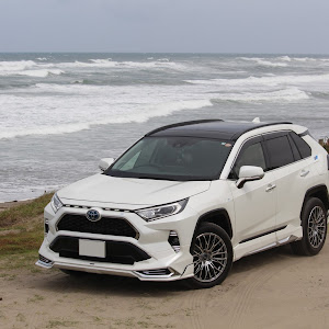 RAV4 AXAH54