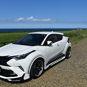 C-HR NGX50