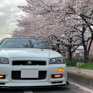 スカイライン GT-R BNR34