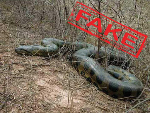 fake-snake-1