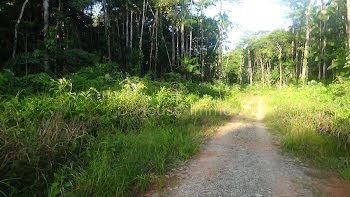 terrain à Roura (973)