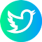 Item logo image for TwFollowExporter - export Twitter followers