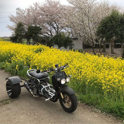 koukiのプロフィール画像