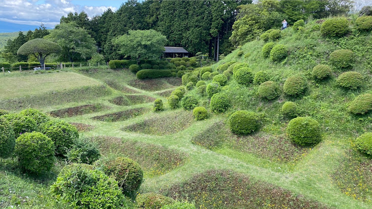 の投稿画像3枚目