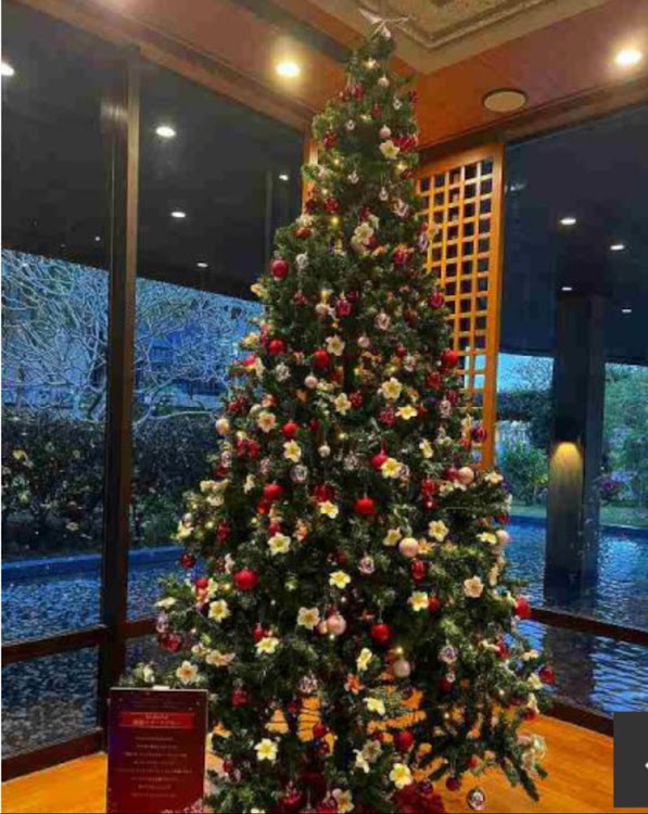 3シリーズ セダンのクリスマス・クリスマスプレゼント・沖縄・南国のクリスマス・車の投稿で無くてすみませんに関するカスタム事例の投稿画像5枚目
