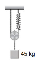 Spring-mass system