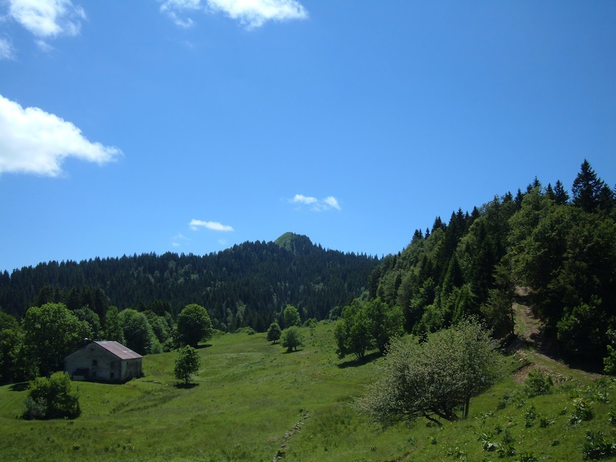 Balade moto à La Pesse dans le haut Jura WzgwaS1bgEHLSW3SET8BBUMmGxNr_IX-CKKWQZ3GJavfhvOJmorrdn-WhVQ3rLYZOb55tlOV9DrRWaoyVTSLts3f8k33WUchM8u0xDIxXwSeD4EtqzTvXyUg4ggfsjIPmh4aorJQ26GZAVdAq2sPKoc3w0_dCafiJEZ8XLj5Ouowlu3S2pUCxbWAJUdcfAuX7TqAD9yZgS9HE4BymcHqzoZEltSqFqjgf7njP9uc3xERdqLtFzjiRs12i4O8X48dWwW7-RX5nYzijRaB2Y1_pVQ9FppcugtY_yXP8zfjY-eleDQjb0uaw66cQRltUQVtqNsRkmH66ZJQr_0Su6KABgDr391u1NNL8akV5ui4NZekYy5PReI7hypgSRcx-kpNdvGX5YMGpvw8QQV449oG8y8BEMQvAwO2seu-xpAXWh7N2y6MmRPz_BM64w-LosB3JhkArwxyYQlnyAMf6jcMLIxiDyiLIwlwsRku20hglNTYL2QEduyYYH414EKQunI4wsRMUTrxkhYKSW-xXKBPVu-H2Wb1psLGOjhOISvsr16nbe5ViswK1Cq8S9l4k-wwBYSHnTiwCX1YUX4Qxoheb9arwPvo99Xx=w1223-h917-no