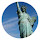 Statue Of Liberty New Tab HD Building Theme