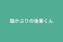 猫かぶりの後輩くん