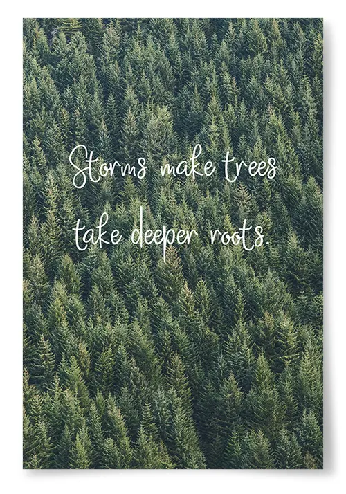 Poster "Storms Make Trees Take Deeper Roots"