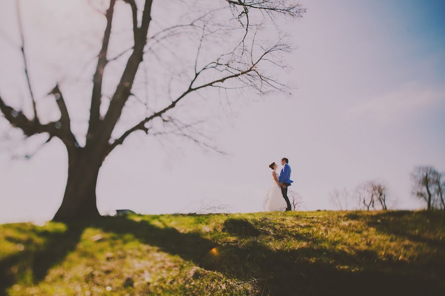 Wedding photographer Katya Kvasnikova (ikvasnikova). Photo of 10 June 2014