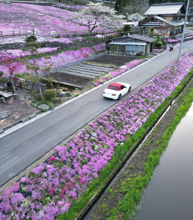 の投稿画像5枚目