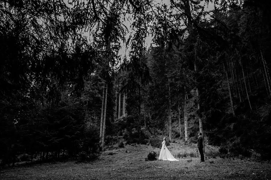 Fotógrafo de bodas Mihai Dumitru (mihaidumitru). Foto del 17 de noviembre 2018