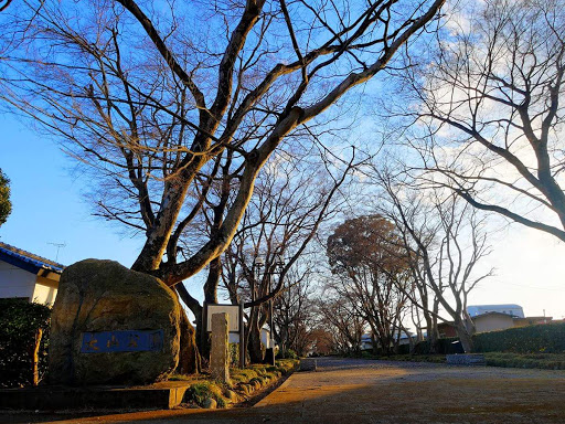 大山公園