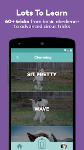 Puppr – Dog Training & Tricks