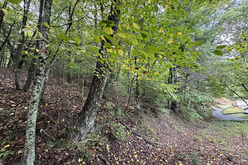 Terrain 4