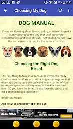 The Ideal Dog poster 8