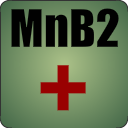 MnB2+