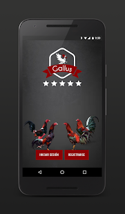 Gallus(圖1)-速報App