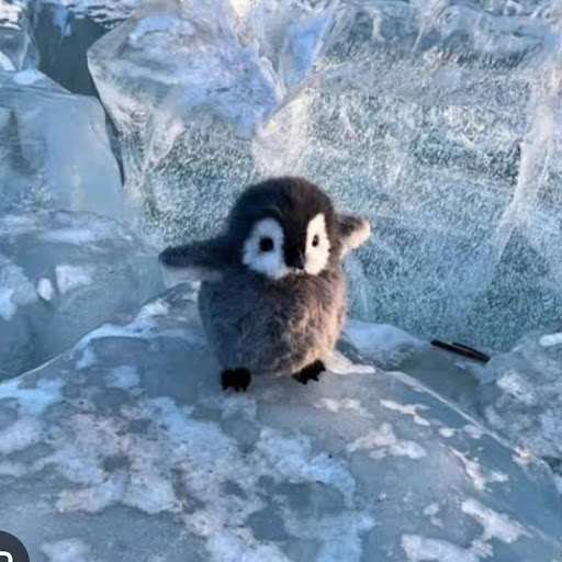 ペンギン