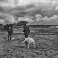 al mare d'inverno di 