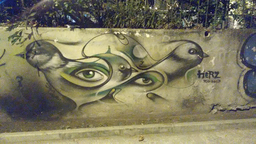 Arte de Rua - Zói de Pomba