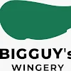 Bigguy's Wingery, Shaniwar Peth, JM Road, Pune logo