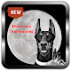 Download Doberman Dog Training For PC Windows and Mac 4.0