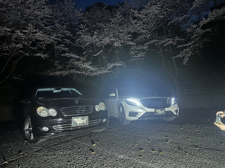 Cクラス ステーションワゴンのW222 Sクラス・桜とコラボ・オフ会のお誘いお待ちしてます・親子メルセデス・#じぶんの車が一番に関するカスタム事例の投稿画像2枚目