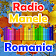 Radio Manele România icon