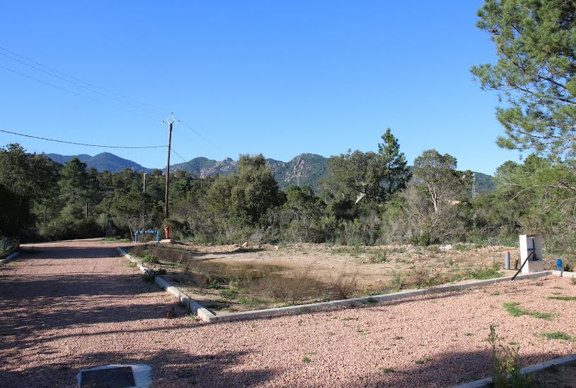  Vente Terrain à bâtir - 951m² à Porto-Vecchio (20137) 